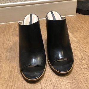 Zara Wedge Mules